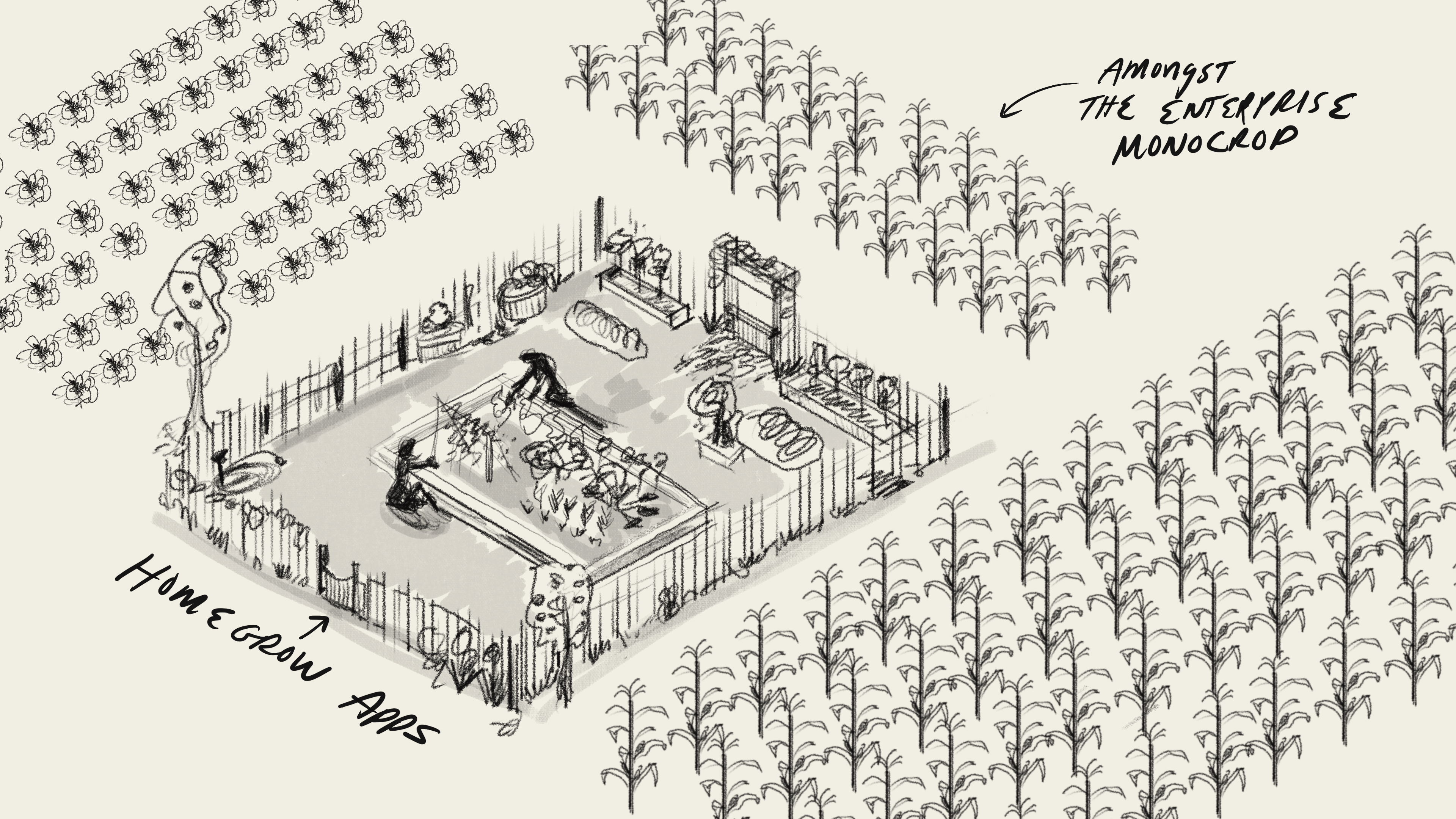 Homegrown Apps cover